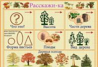 Лексическая тема осень деревья